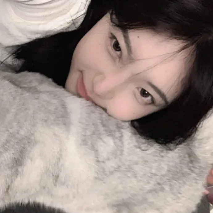 丛林游戏